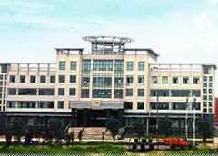 ����´��ڲ鿴