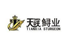 ����´��ڲ鿴